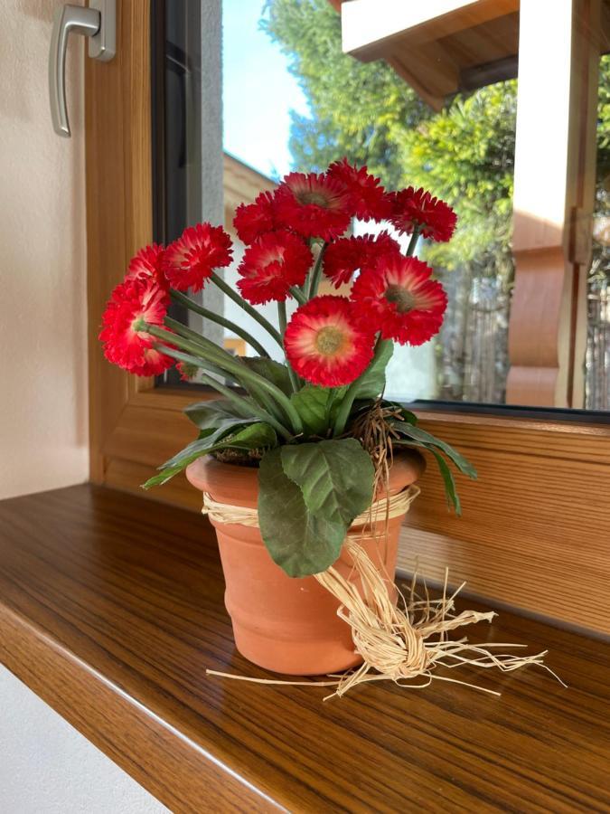 Ferienwohnung Haus Wittig Sankt Ulrich am Pillersee Exterior foto